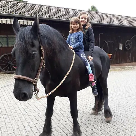 Alter Hof Farm stay