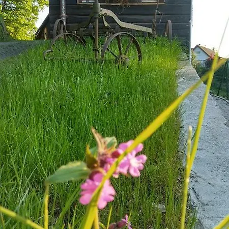 Farm stay Alter Hof Heidelberg
