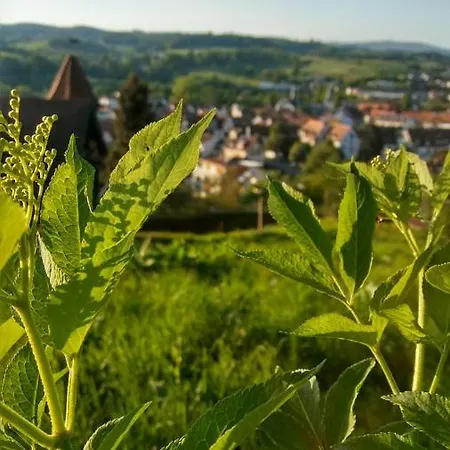 Alter Hof * Heidelberg